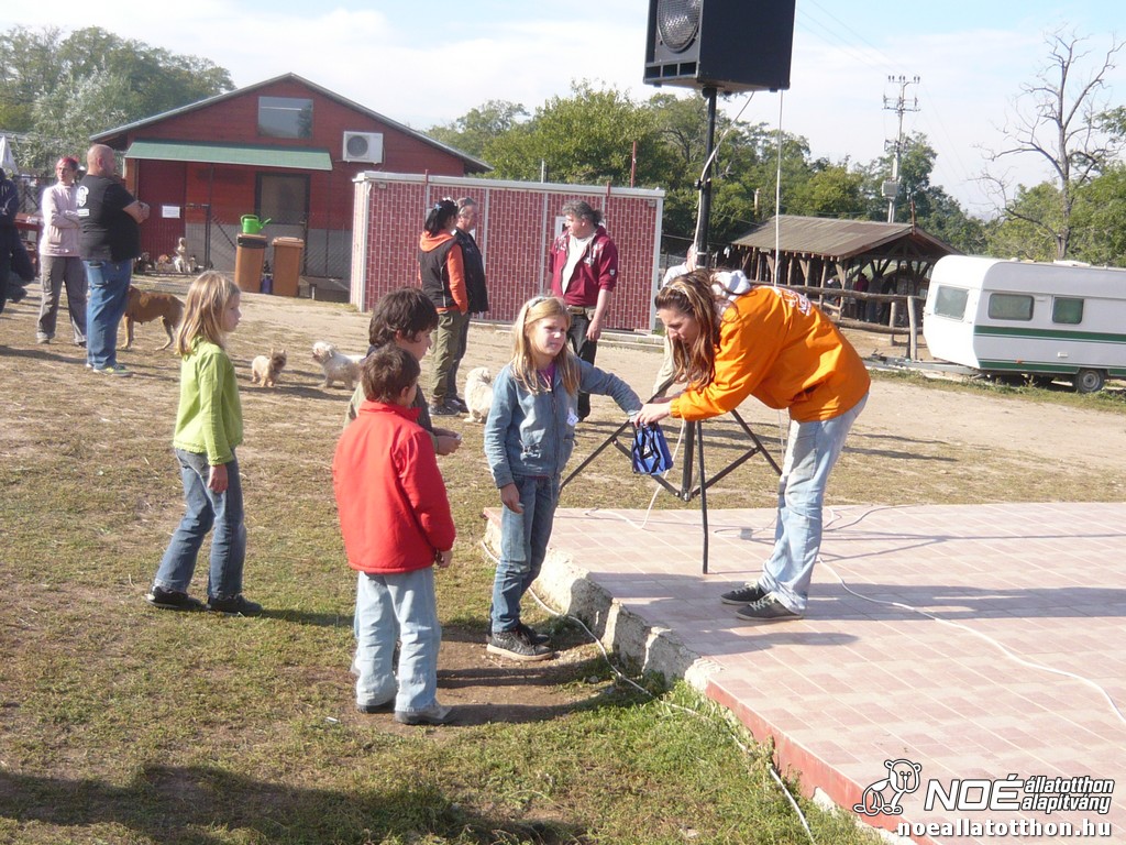 p1140491.jpg