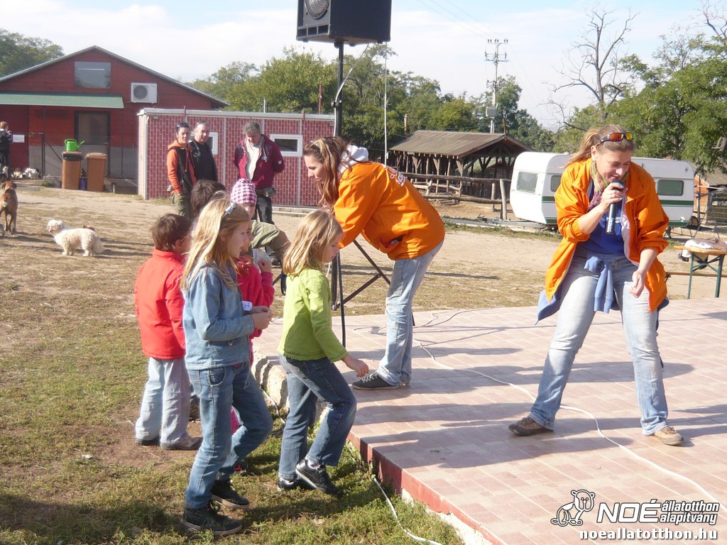 p1140494.jpg