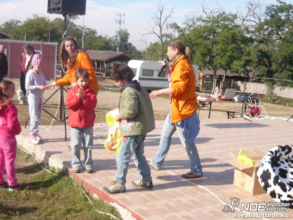 p1140497.jpg