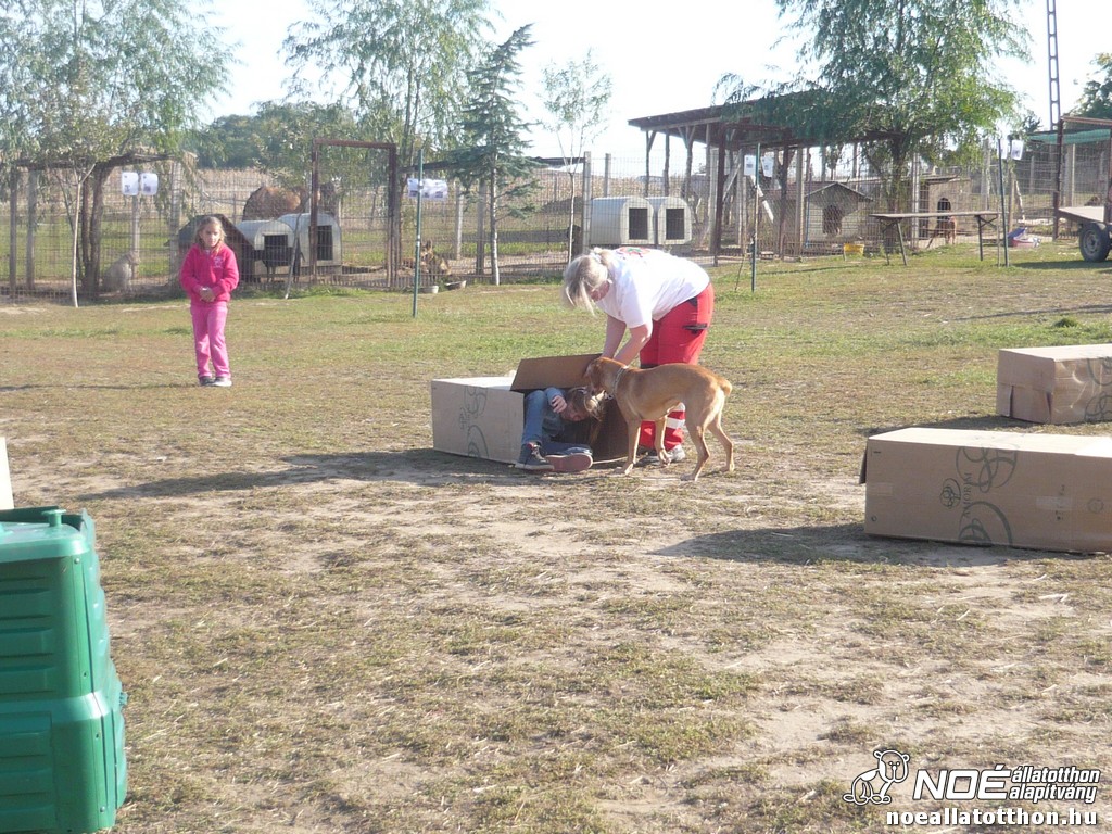 p1140568.jpg