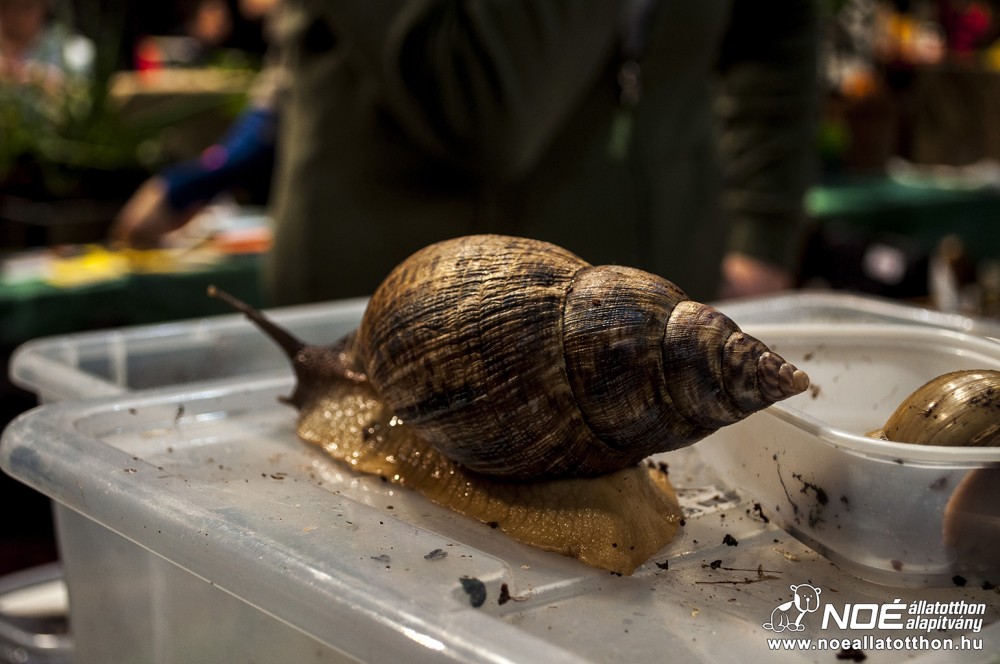 pecsa20140206_16.jpg
