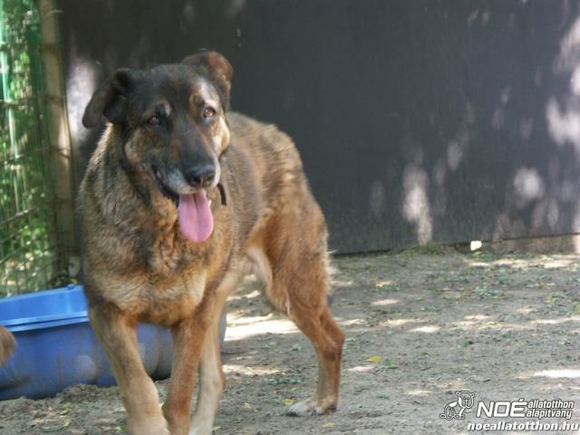 pict9607_2.jpg