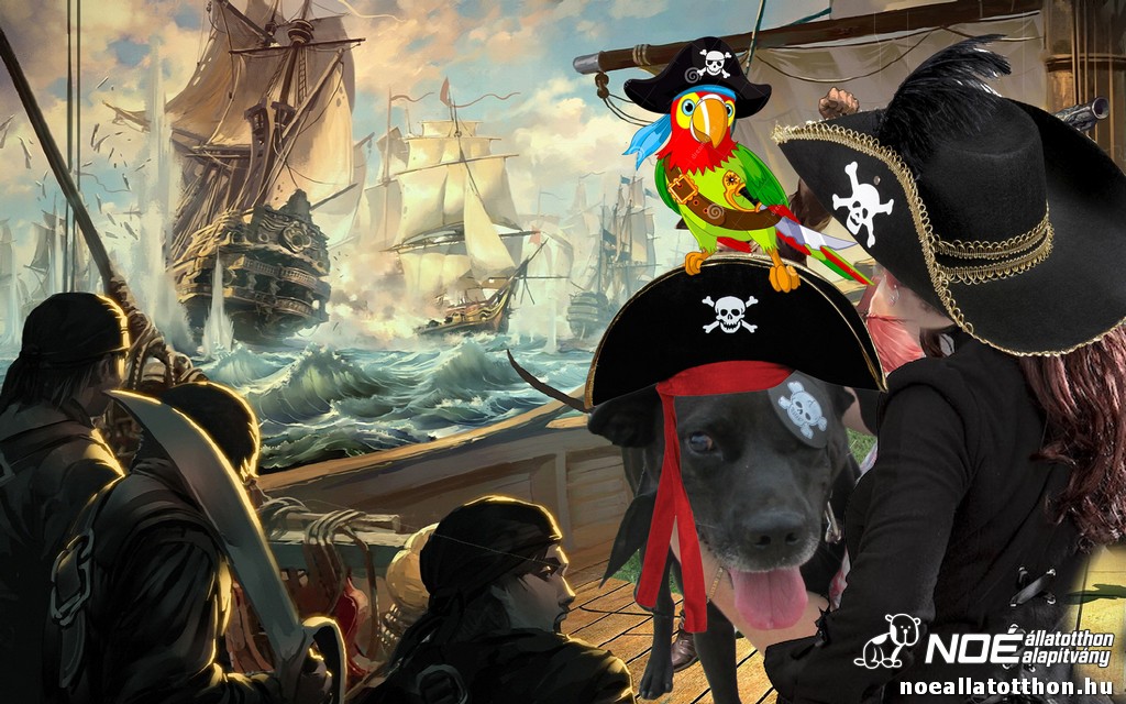 pirate_scene.jpg