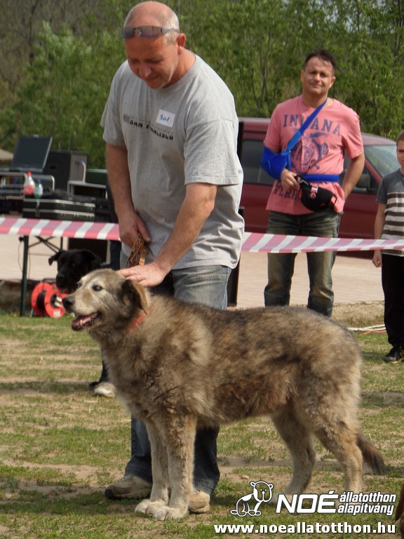 sam_3904.jpg