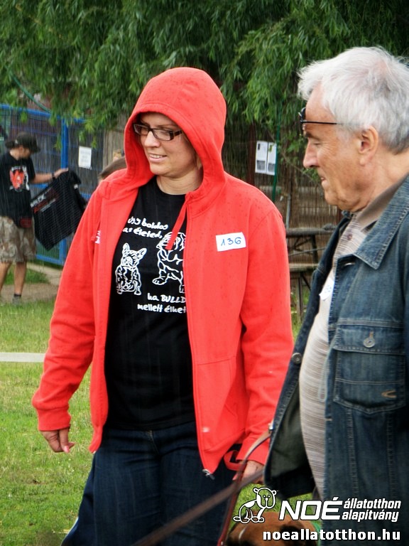 sam_5597107.jpg