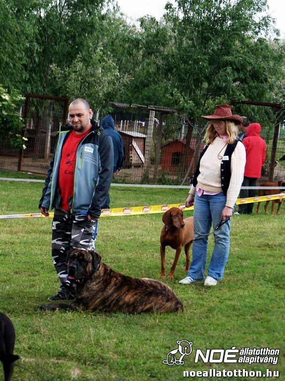 sam_5610119.jpg