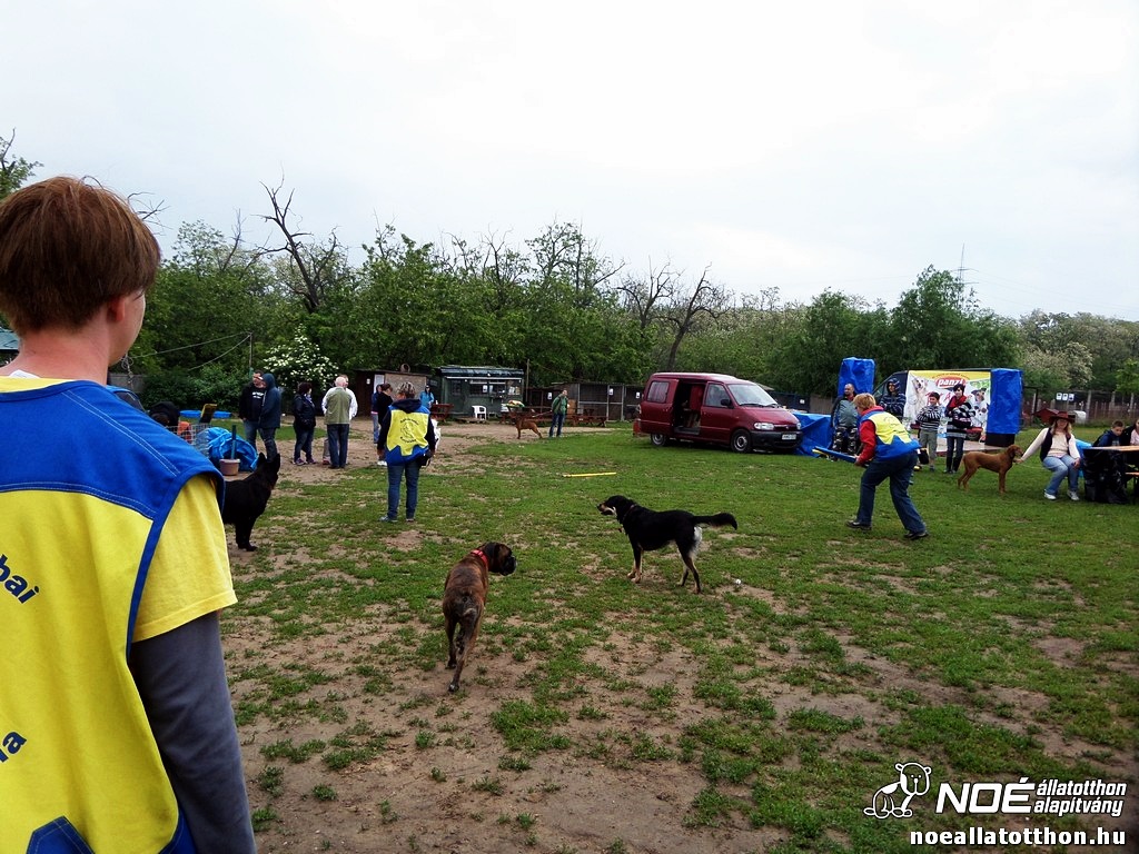 sam_5705210.jpg