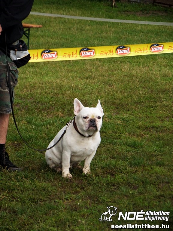 sam_5885377.jpg