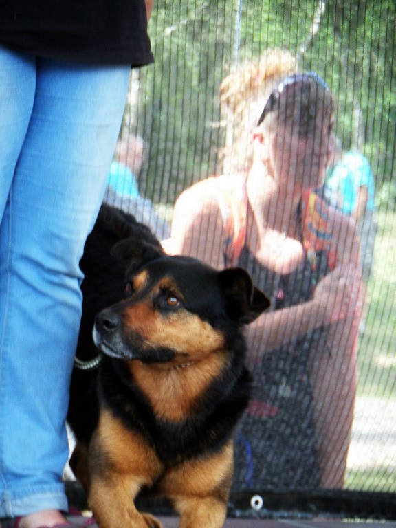 sam_7504059.jpg