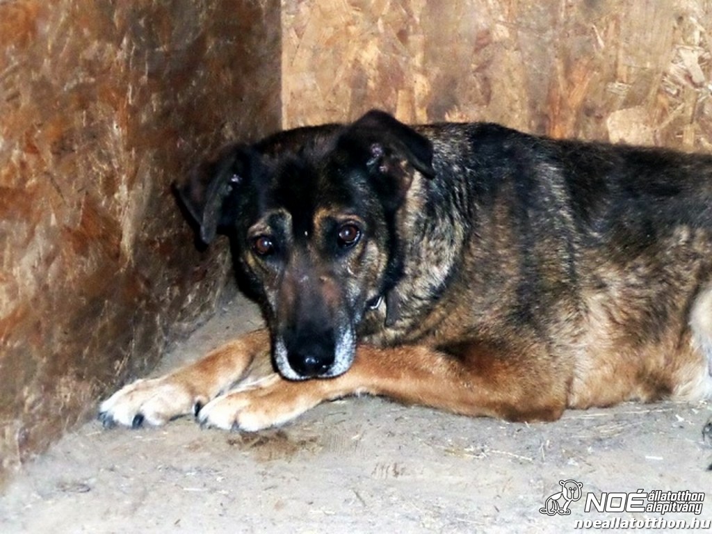 sam_7871231.jpg