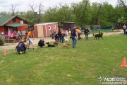 100_6357.jpg