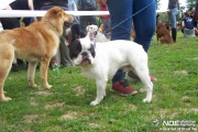 100_6416.jpg