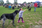 100_6434.jpg