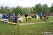 100_6435.jpg