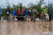 100_6442.jpg
