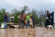 100_6447.jpg