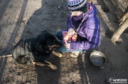allatokkarija131229_26.jpg