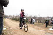 buekkupa20140101_146.jpg