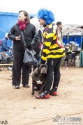 buekkupa20140101_148.jpg