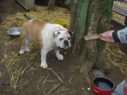 dsc05840.jpg