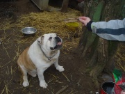 dsc05841.jpg