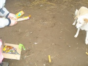 dsc05853.jpg