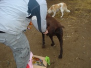 dsc05856.jpg