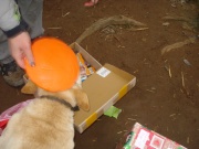 dsc05936.jpg