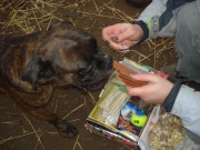 dsc06030.jpg