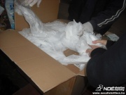 dscf0875.jpg