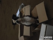 dscf0917.jpg