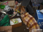 dscf0990.jpg