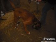 dscf1116.jpg