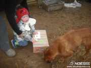 dscf1119.jpg