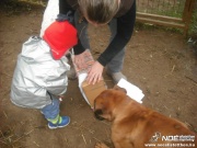 dscf1123.jpg