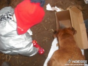 dscf1127.jpg