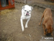 dscf1128.jpg