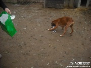 dscf1133.jpg