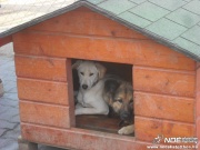 dscf7985.jpg