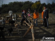 dscf8026.jpg
