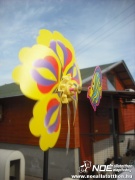 dscf8048.jpg