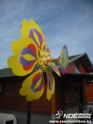 dscf8049.jpg
