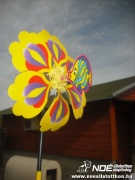 dscf8050.jpg