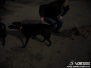 dscf8053.jpg