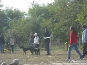 dscf8058.jpg