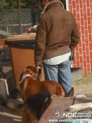 dscf8075.jpg