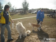 dscf8113.jpg