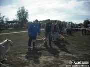 dscf8115.jpg