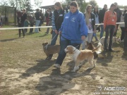 dscf8133.jpg