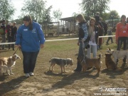 dscf8137.jpg